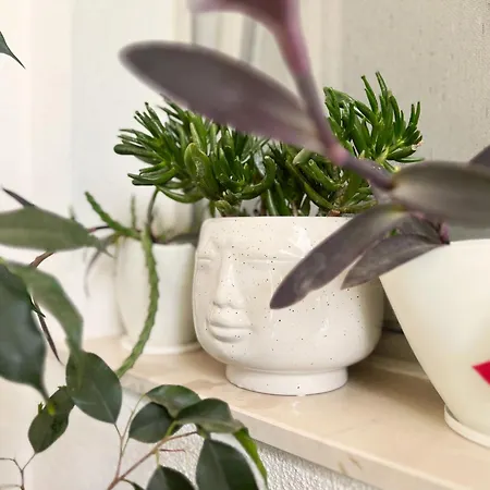 Tai - Spacious And Comfy With Private Terrace 3* هفار