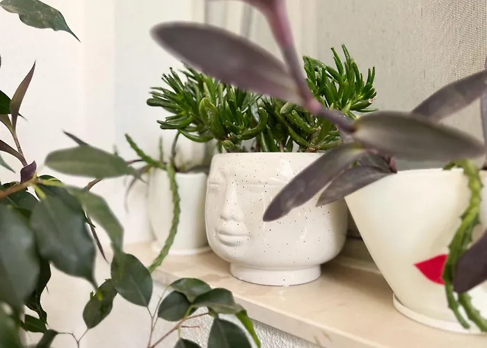 Tai - Spacious And Comfy With Private Terrace 3* 赫瓦尔