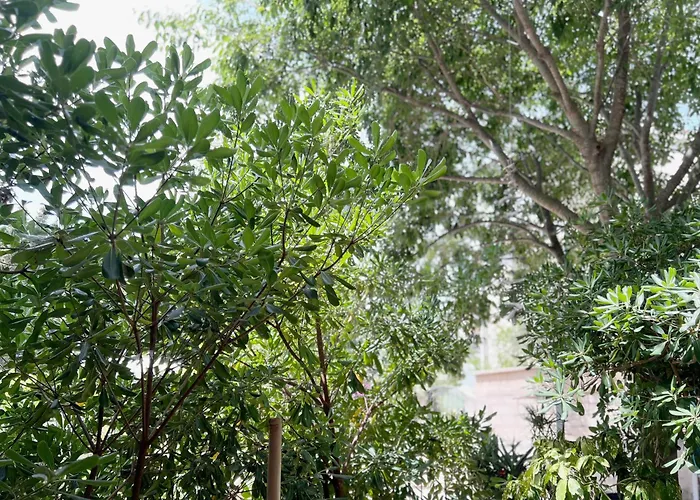 Tai - Spacious And Comfy With Private Terrace 招待所 3*