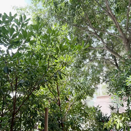 Tai - Spacious And Comfy With Private Terrace 게스트하우스 3*